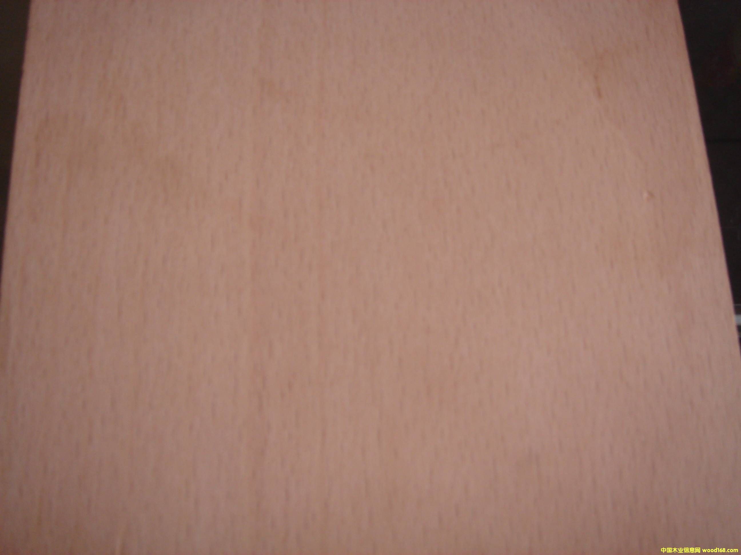 ��ľ��Ԕ����B