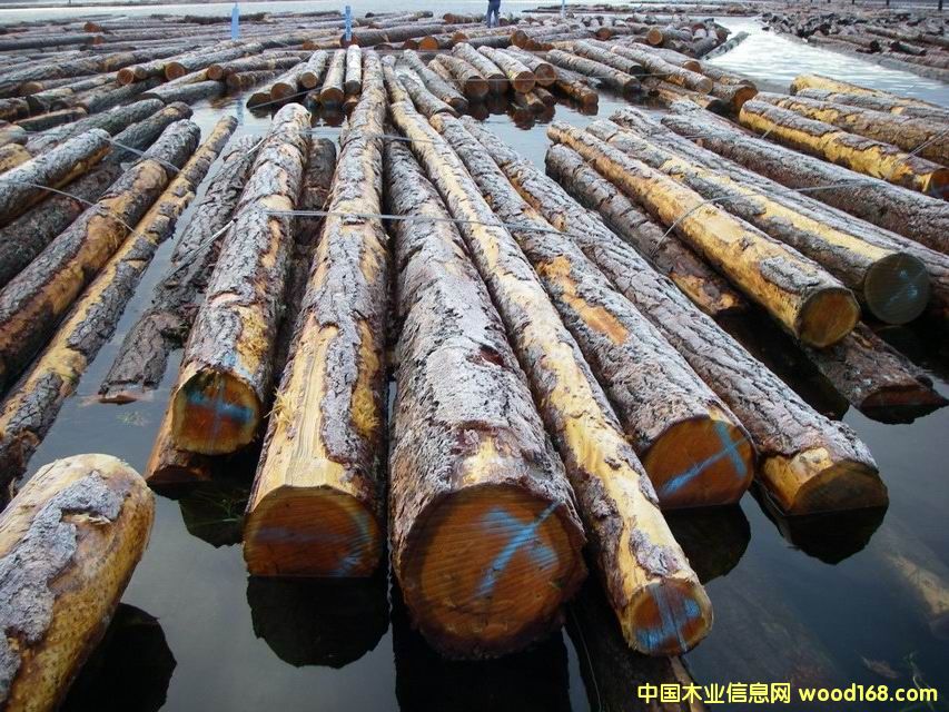 �����ɵ�Ԕ����B