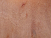 �z�ϰ��Ԕ��(x��)��B