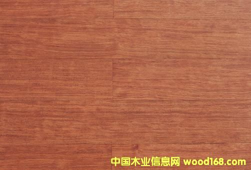 �ʰͶ�-��ľ����ذ��Ԕ����B