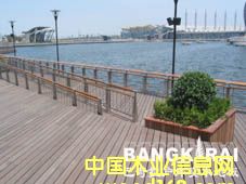 �c���鿴ӡ����̴�Ŵ�DƬ