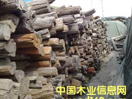 �ϓ�t��֦,���ϵ�Ԕ����B