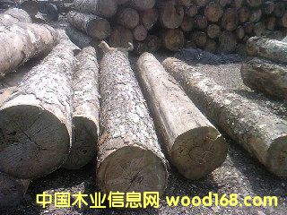 ��ľ3��Ԕ����B