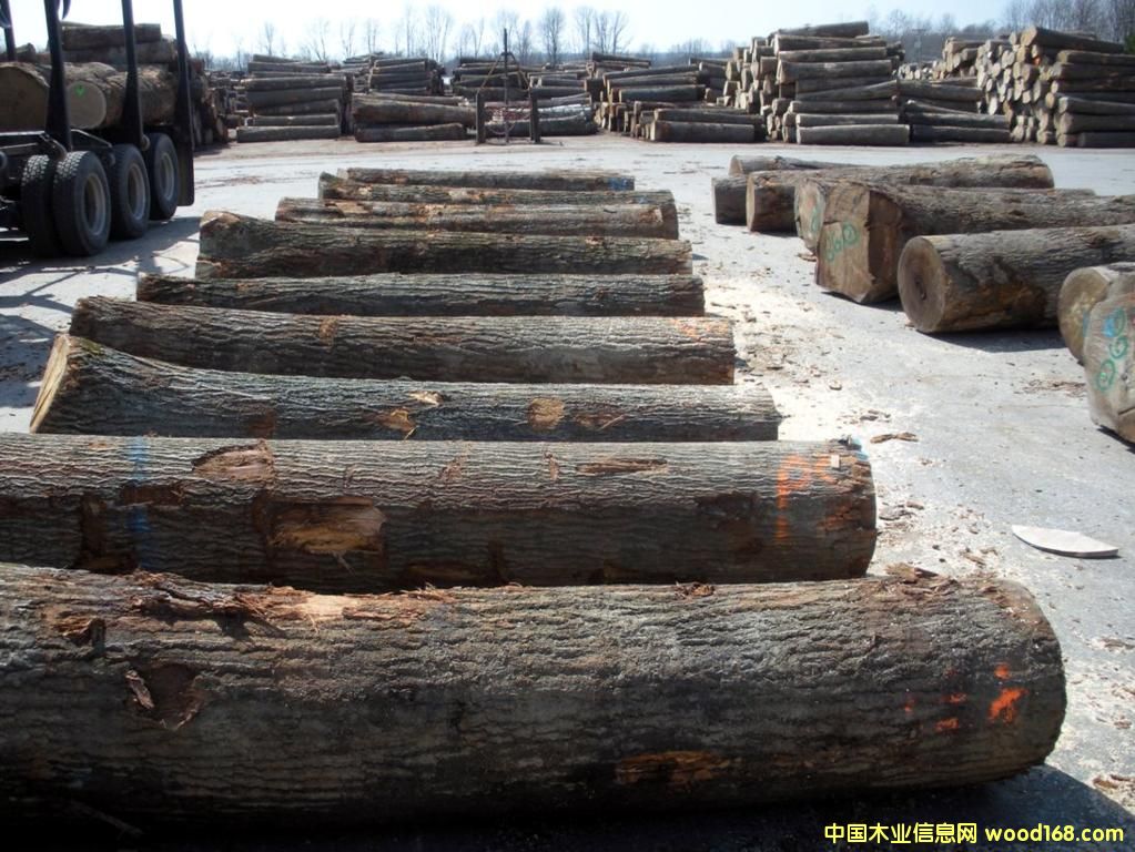 �c���鿴�����t��Ŵ�DƬ