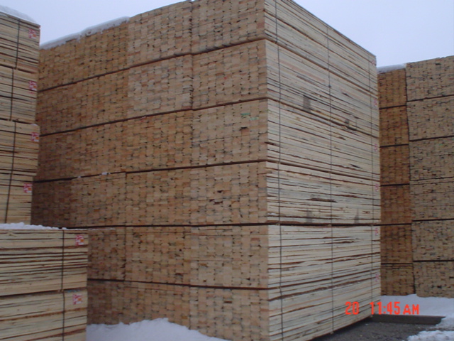 SPF Economy��Ԕ����B