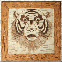 ���Ƥ�C����Ԕ��(x��)��B