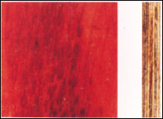 �����z�t���Ԕ����B