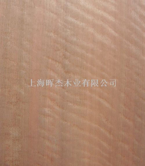 �tӰ ľƤ��Ԕ����B