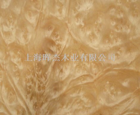 ���� ľƤ��Ԕ����B