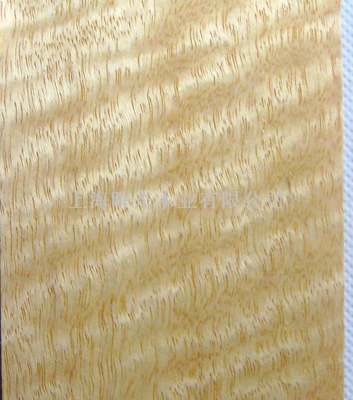 ��Ӱ ľƤ��Ԕ����B