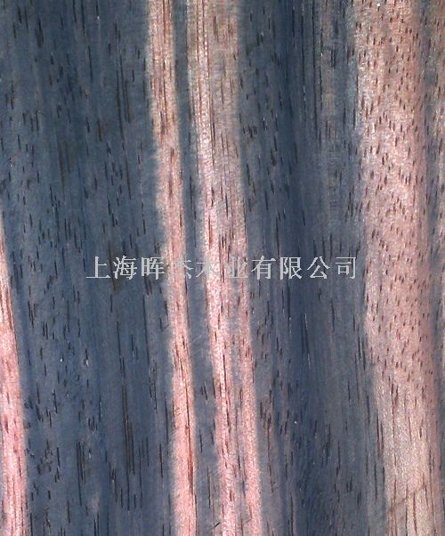 ӡ���̴ ľƤ��Ԕ����B