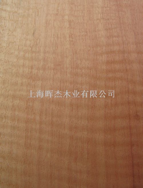 �tӰ ľƤ��Ԕ����B