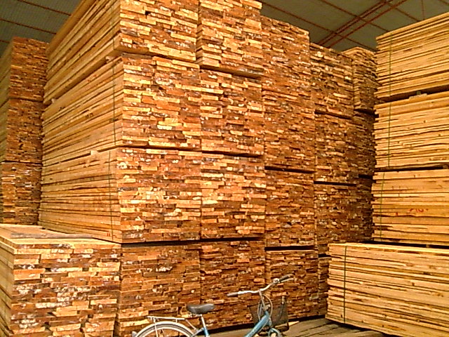 �����ɟo��(ji��)���