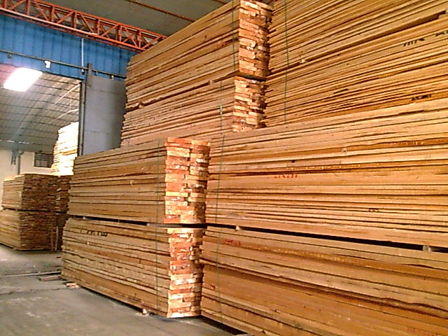 �����ɟo��(ji��)���