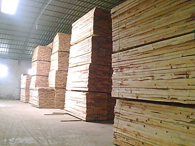 �����ɰ�ĵ�Ԕ����B