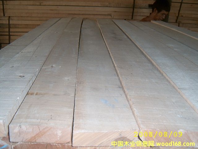 ���_˹��ľ��Ԕ����B