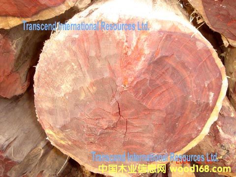 ����С�~��̴ԭľ��Ԕ����B