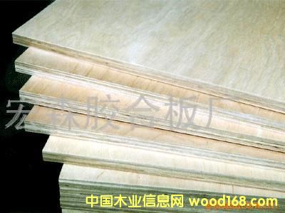 ���NҎ��߉������Ӱ��Ԕ����B