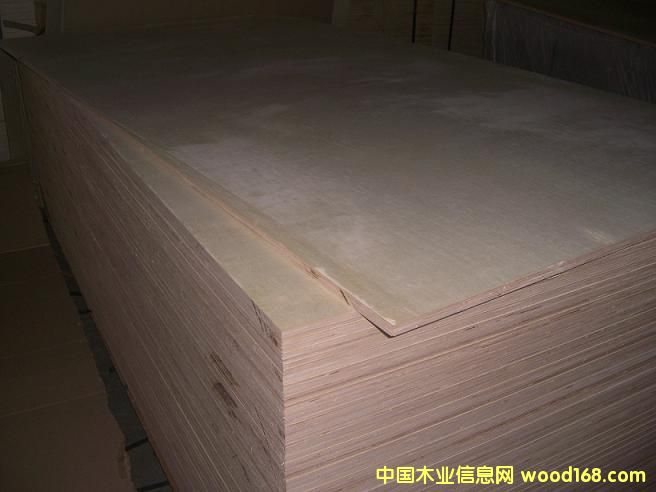 ȫ��ľ�z�ϰ��Ԕ��(x��)��B