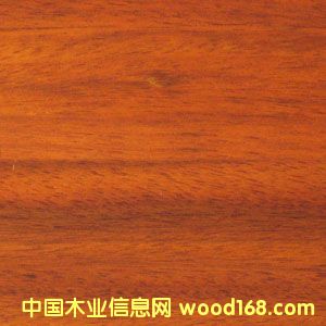 �A�P����Ԕ��(x��)��B