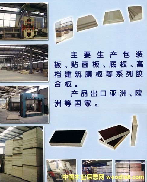 �c���鿴����ģ�塢�z�ϰ�r���|���Ŵ�DƬ