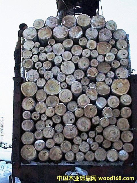 ���_˹�aԭľ(��̩ľ�I)