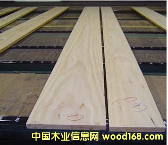 �����mݗ���ɵ�Ԕ����B