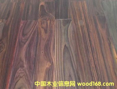 palissander��Ԕ����B