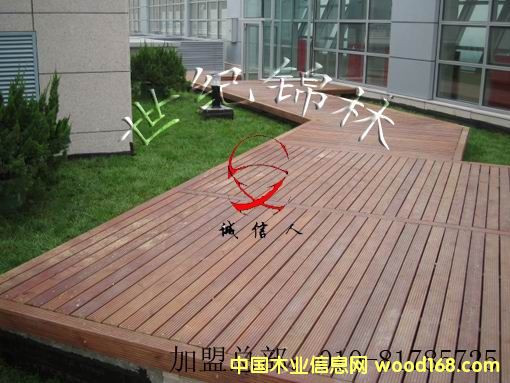 Ӳľ�ذ��Ԕ����B