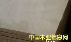 poplar plywood��Ԕ��(x��)��B