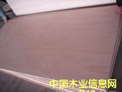 red canarium plywood��Ԕ��(x��)��B