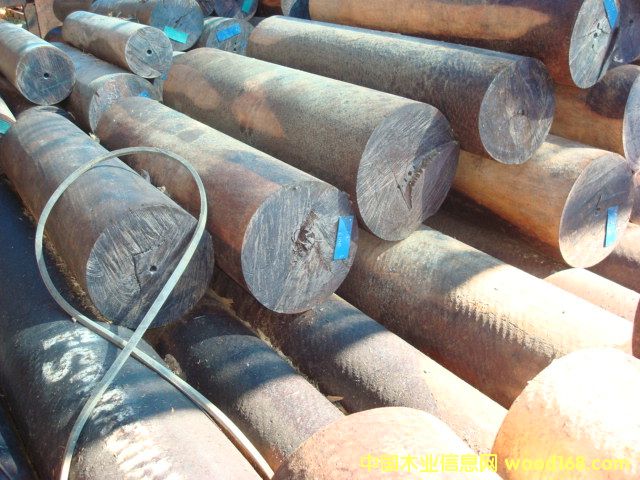 ��̴��Ԕ����B