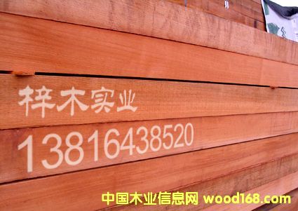 �tѩ��(�o��(ji��)�̣���Ԕ��(x��)��B