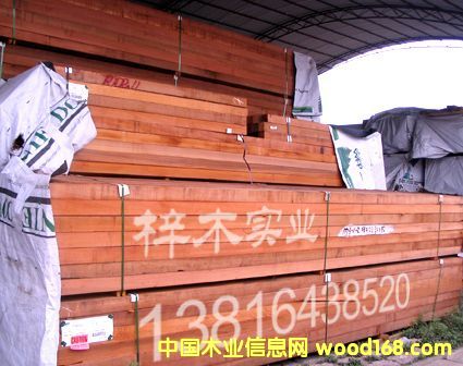 �tѩ�� FF��Ԕ��(x��)��B