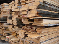 ��ľ��Ԕ����B