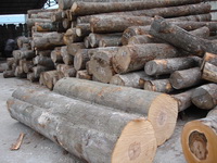 ��ľԭ��,�ɰ�ĵ�Ԕ����B