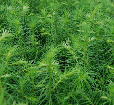 ɼľ���Ԕ��(x��)��B