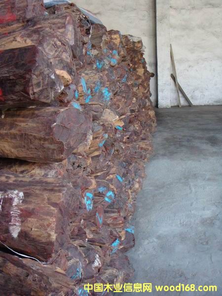 С�~��̴��Ԕ����B