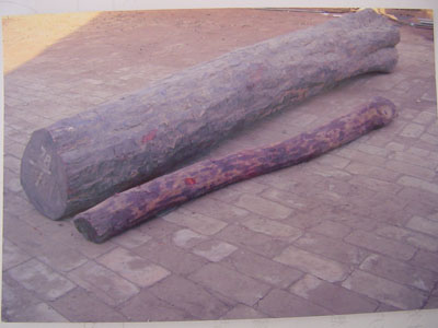 �ϼtľ�����~��̴ľ����Ԕ����B