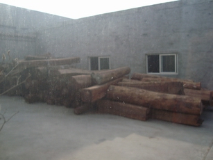 ������~��̴ľ��Ԕ����B