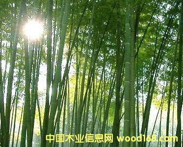 �Ĵ������Ԕ����B