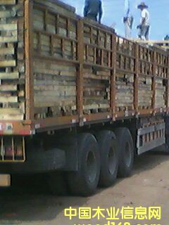 ��ľ���ϵ�Ԕ����B