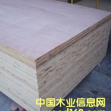 ָ�Ӱ��Ԕ����B