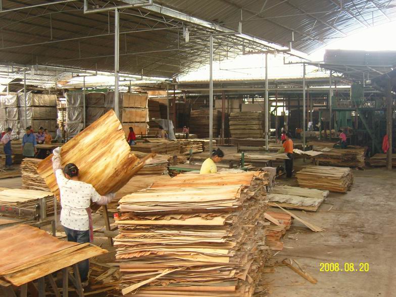 ��˾�DƬ��Ԕ����B