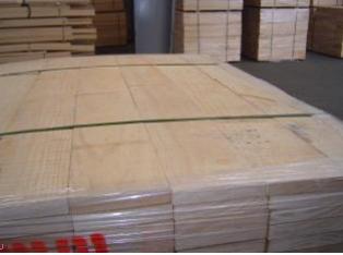 ݗ���ɟo����ĵ�Ԕ����B