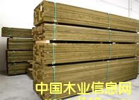 ����ľ�ĵ�Ԕ����B