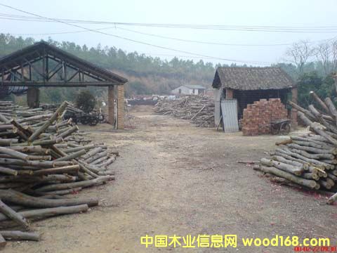 ľ��ľ���Ԕ����B