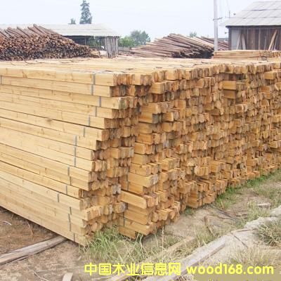 ��ľ�ʵ�Ԕ����B