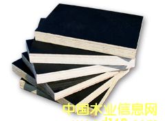 ��Ĥ�� ��Ĥ��Ԕ����B