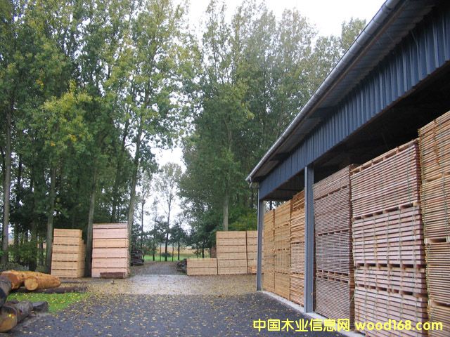 ��ĵ�Ԕ����B